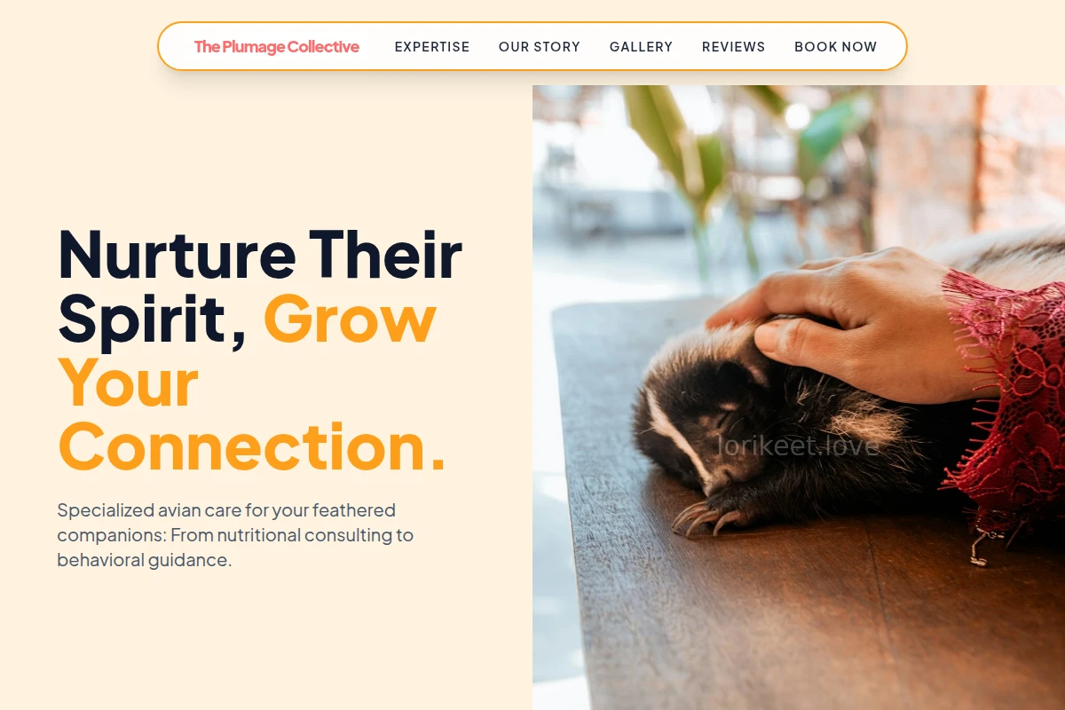 animal-care