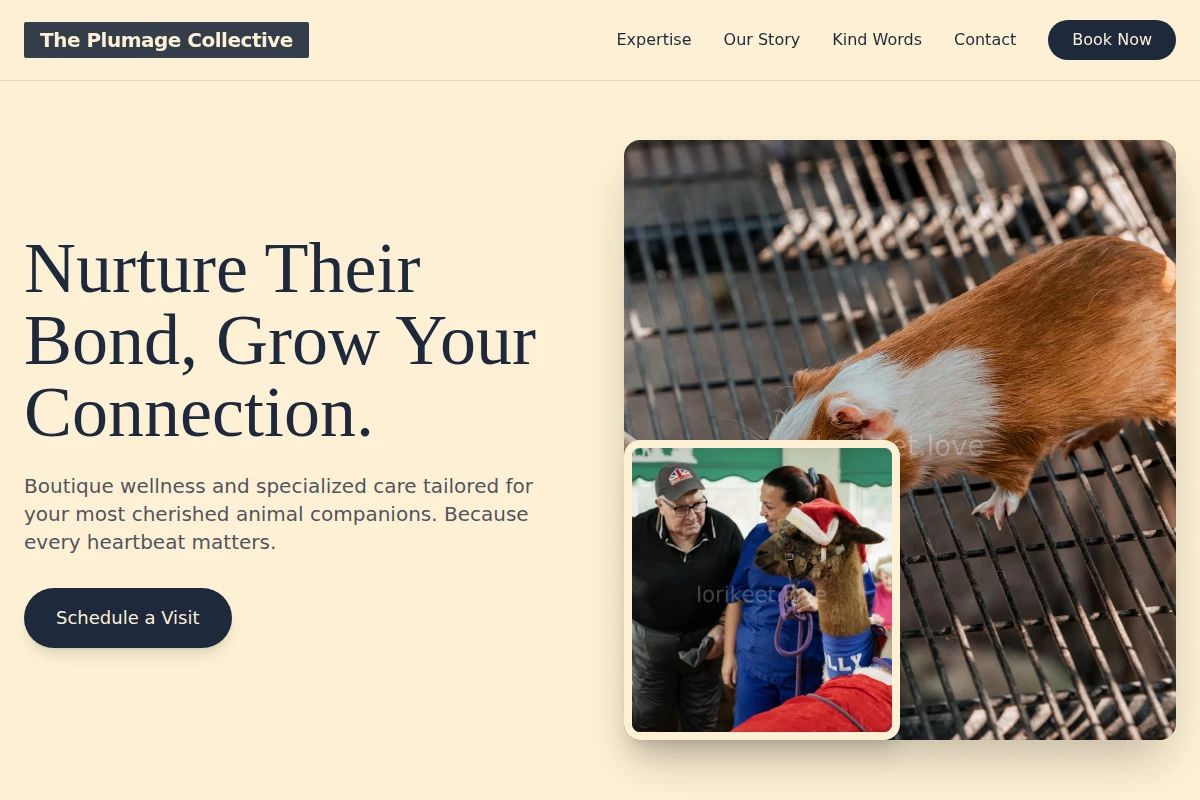 Lovely Animal Care