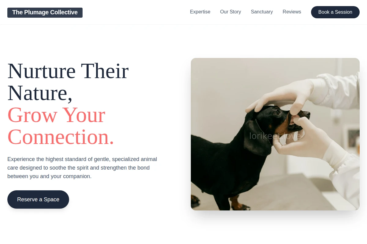 Soft Animal Care