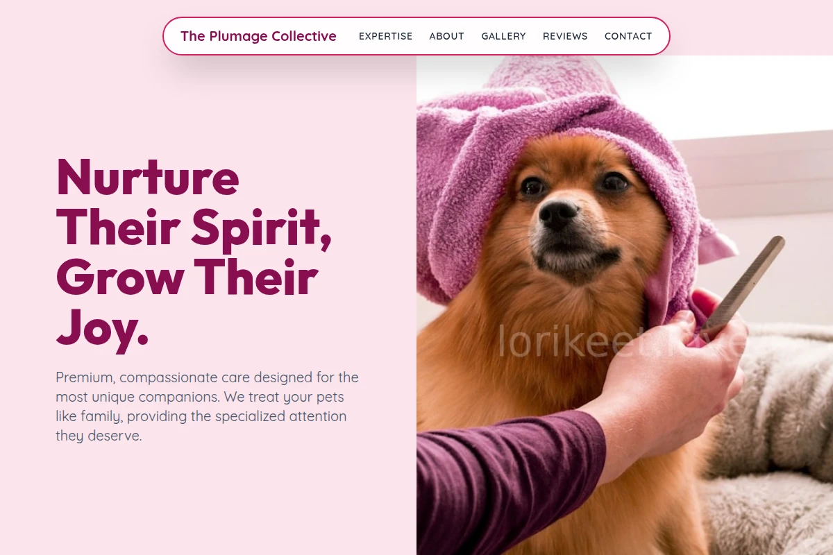 Playful Animal Care