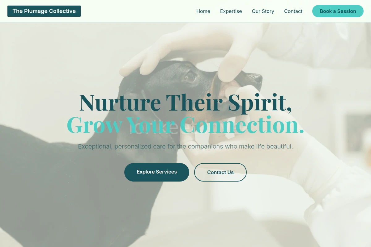 Colorful Animal Care