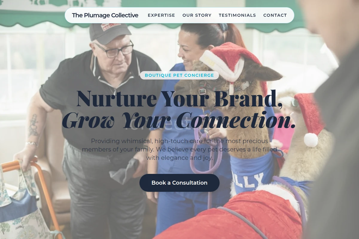 animal-care