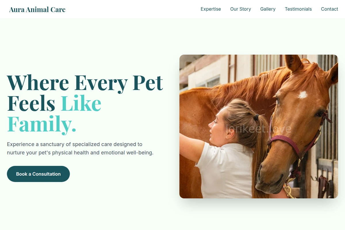 Aura Animal Care