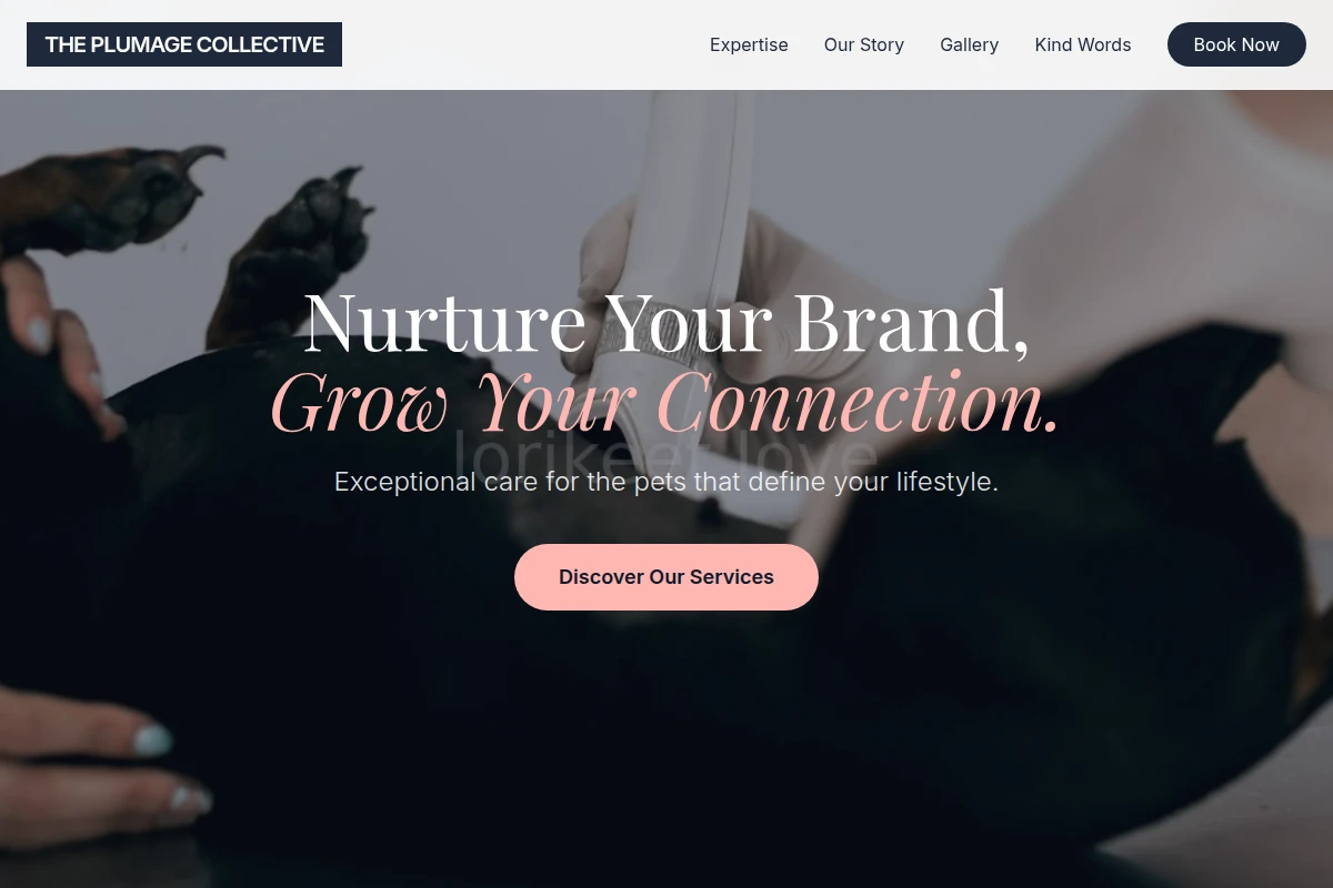 Curated Animal Care
