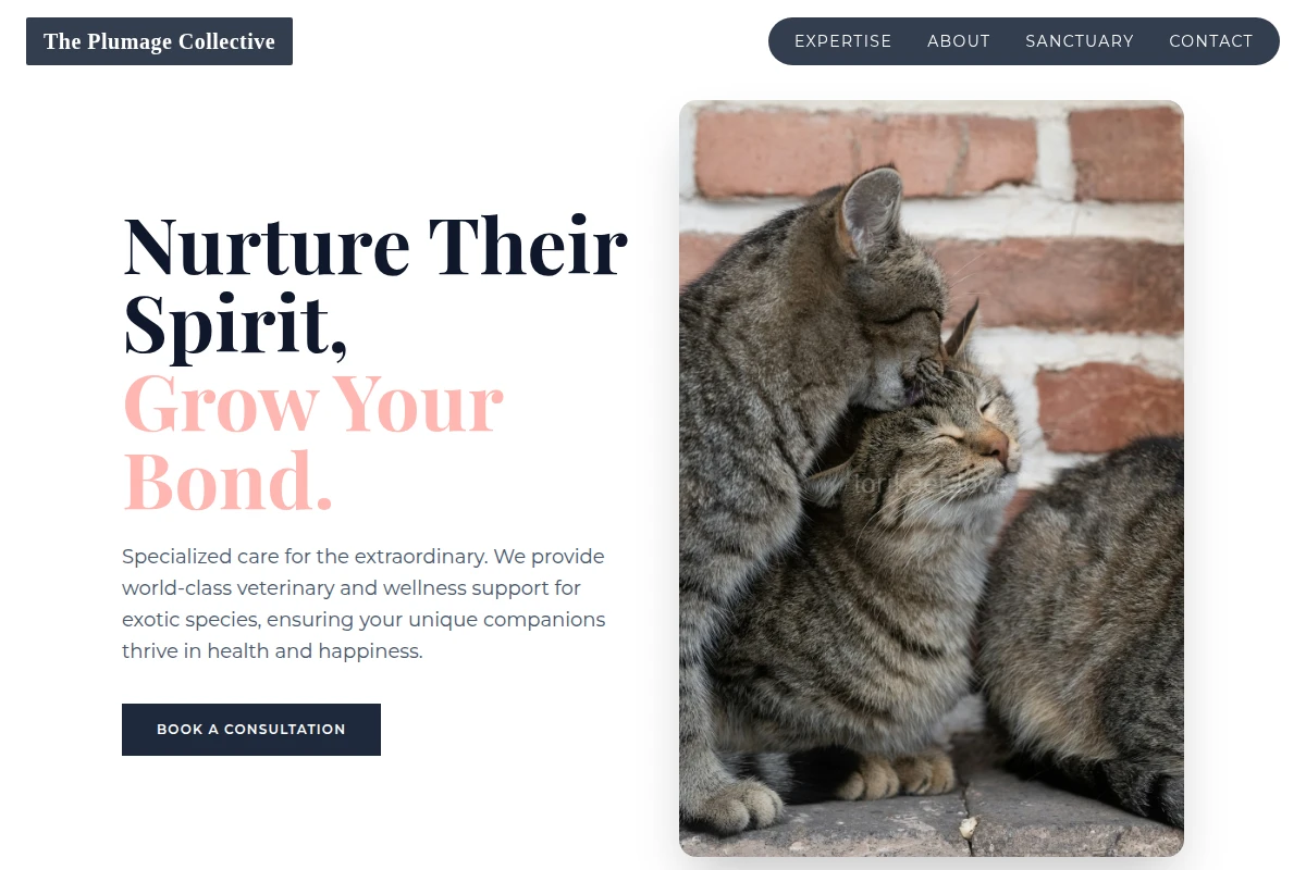 Rare Animal Care