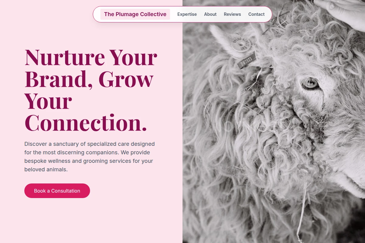 Boutique Animal Care