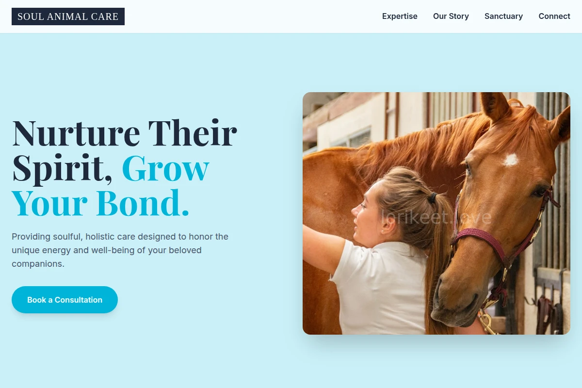 Soul Animal Care