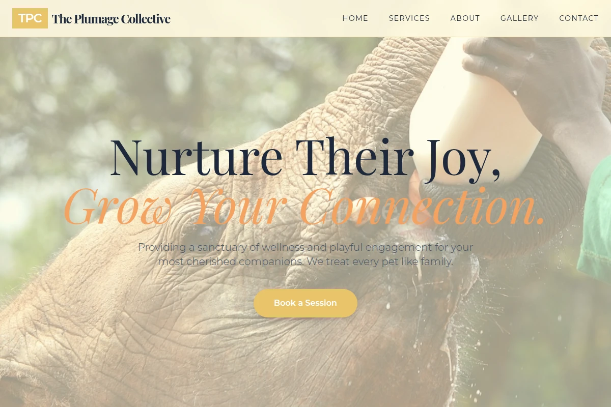 Playful Animal Care