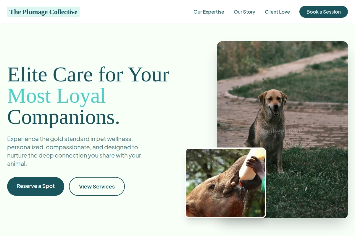 Polished Animal Care
