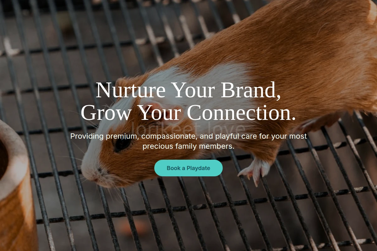 Playful Animal Care