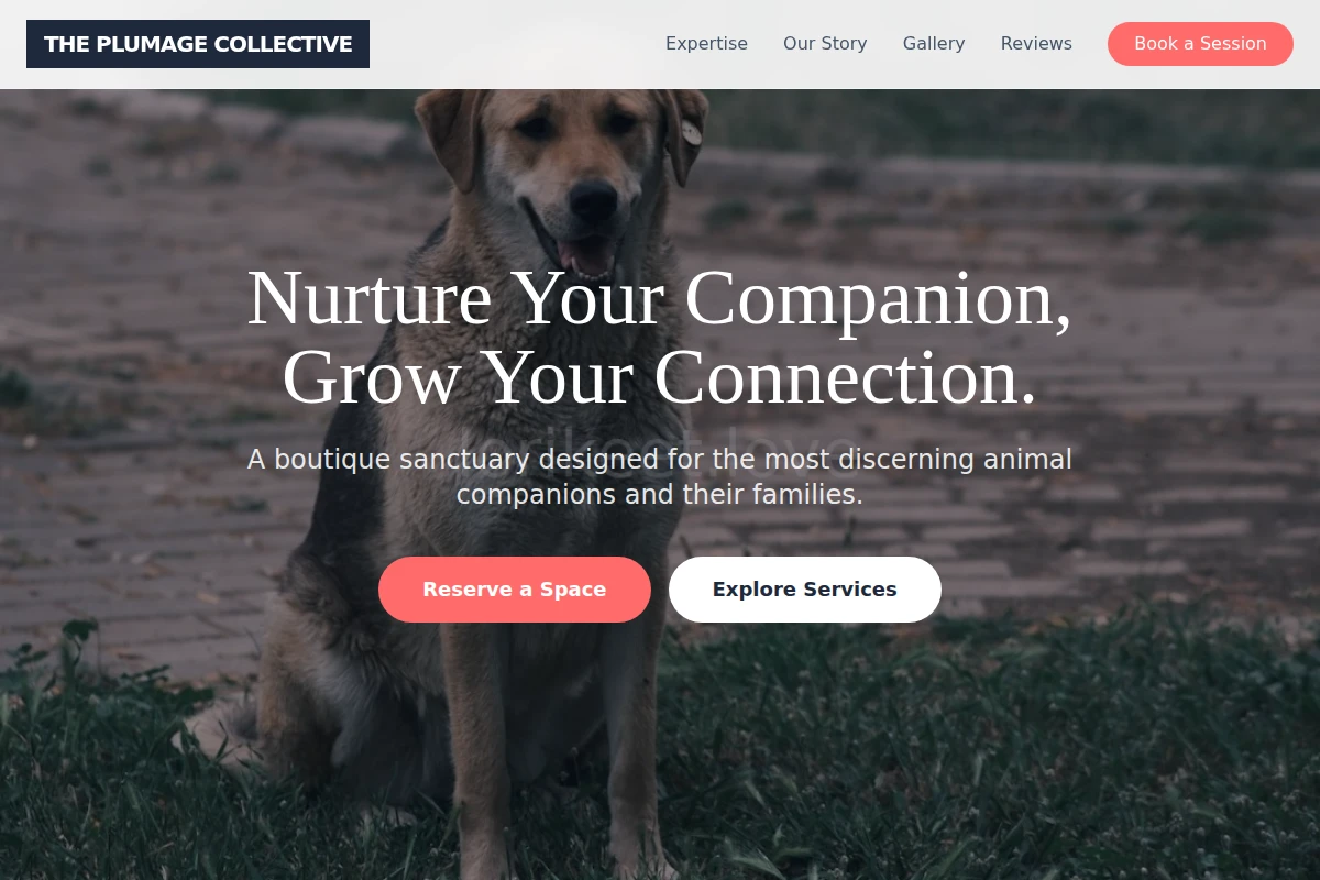 Studio Animal Care
