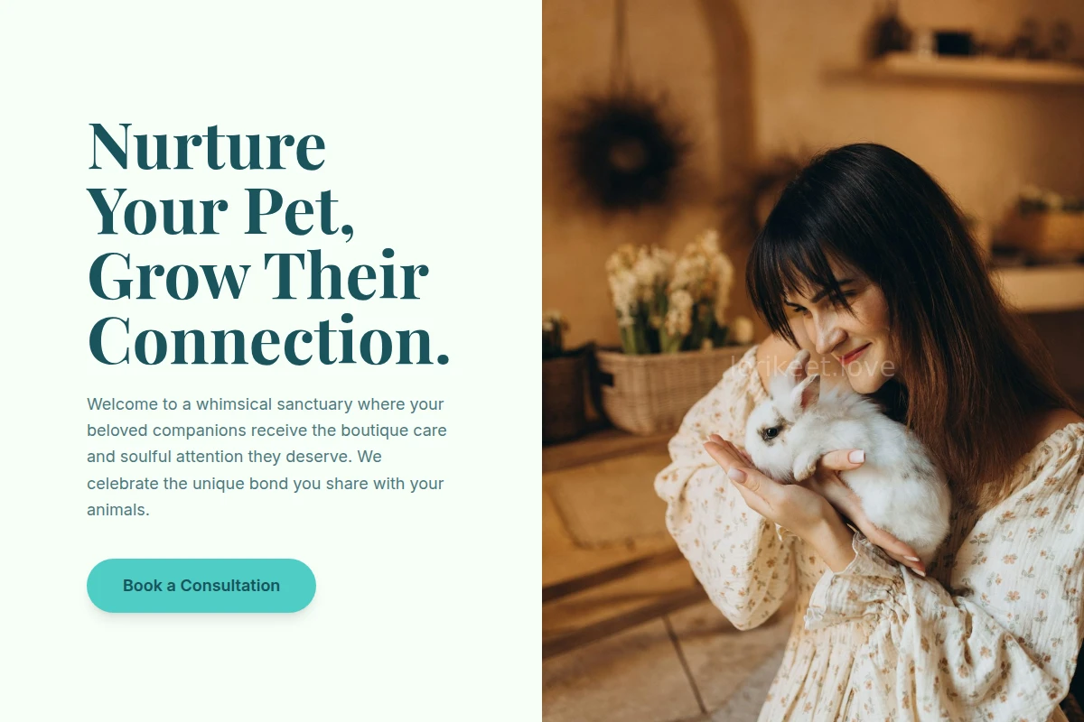 Whimsical Animal Care