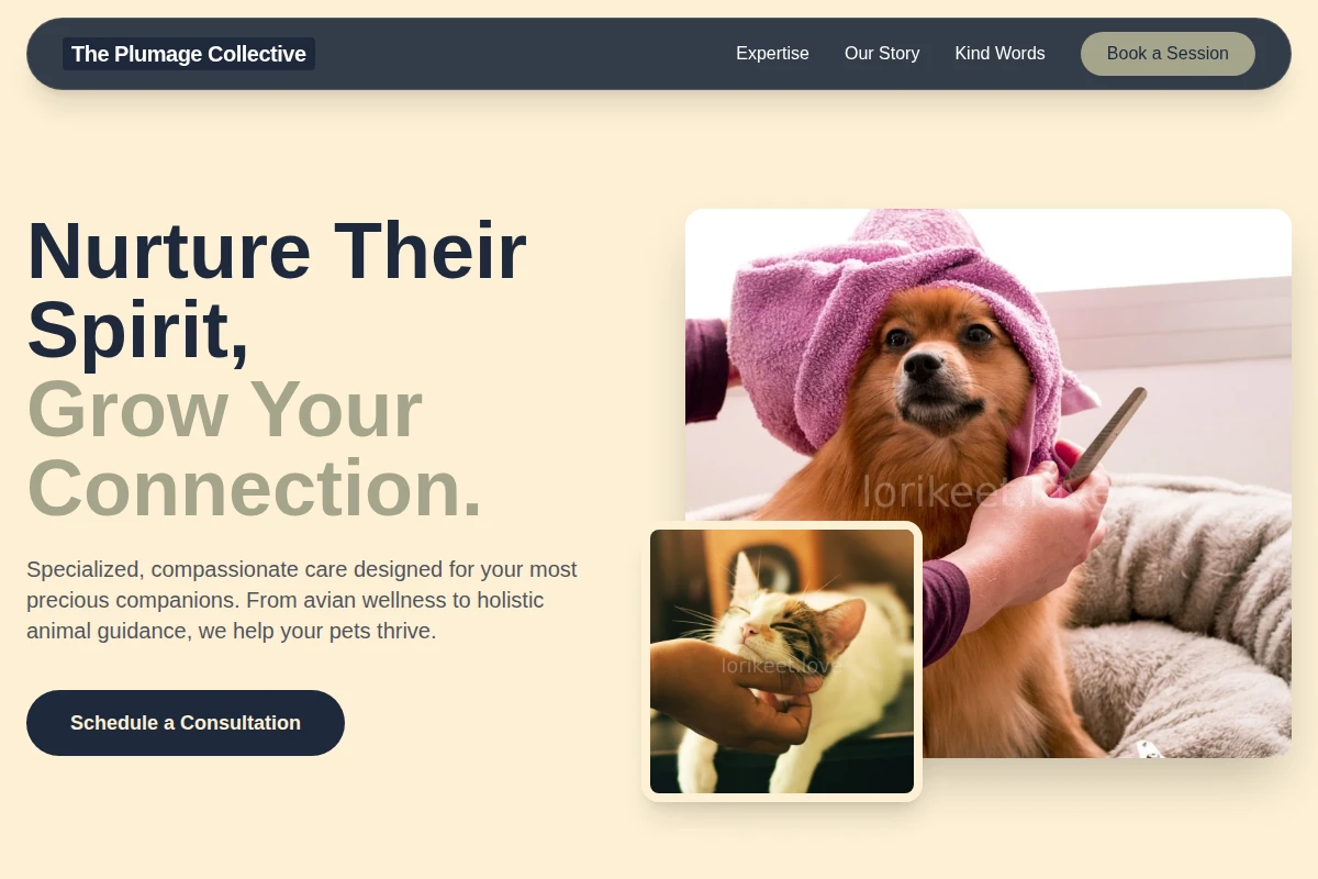 Colorful Animal Care