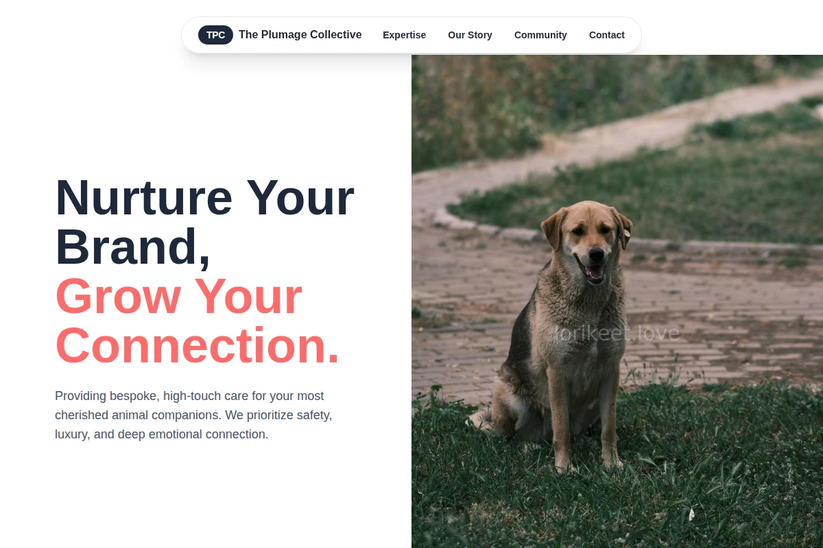 Lovely Animal Care