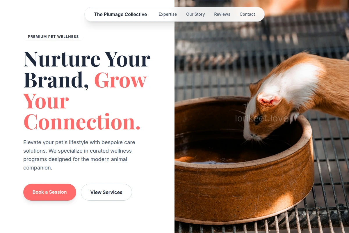 Curated Animal Care