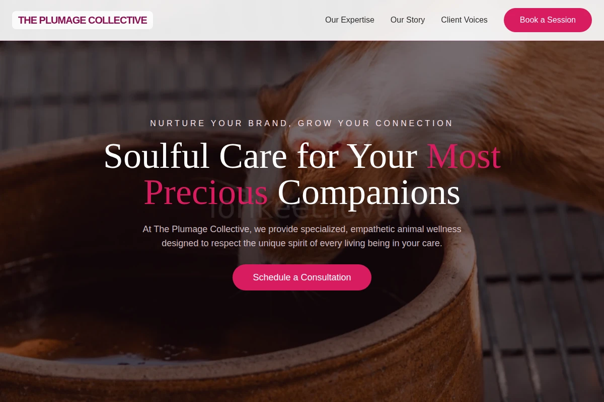 Soul Animal Care