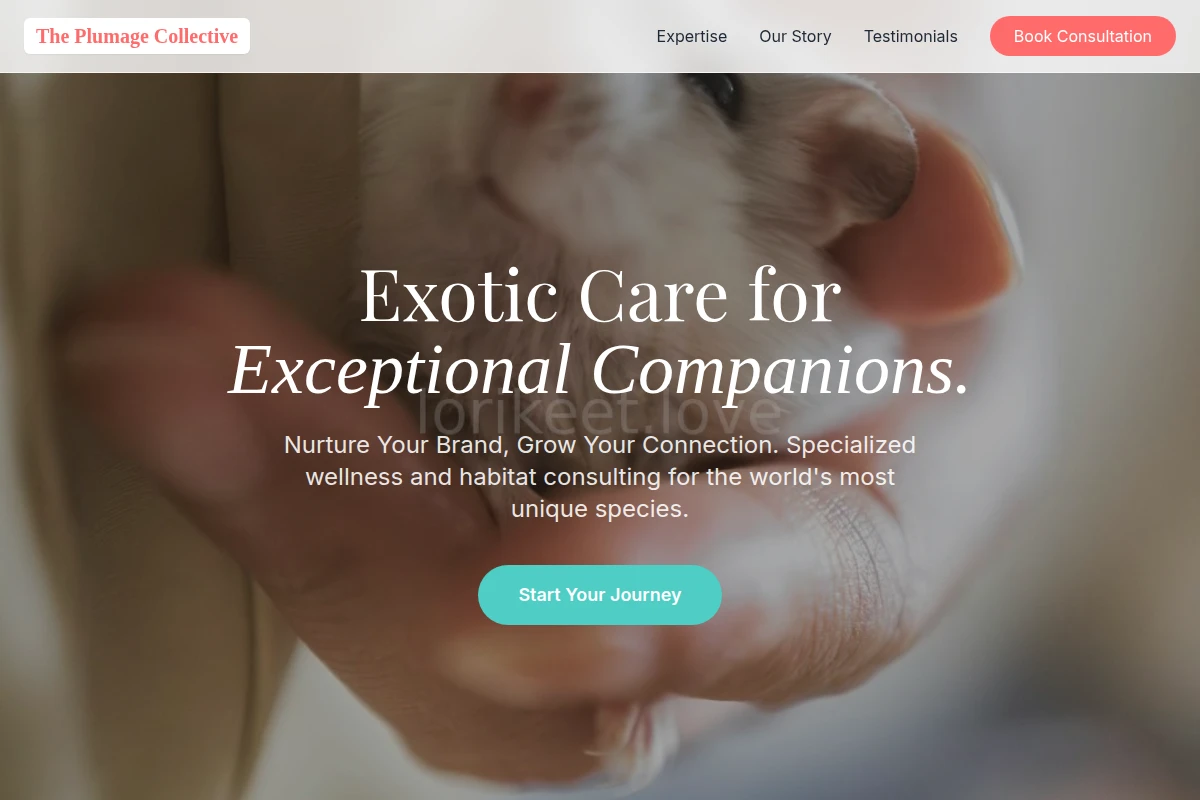 Rare Animal Care