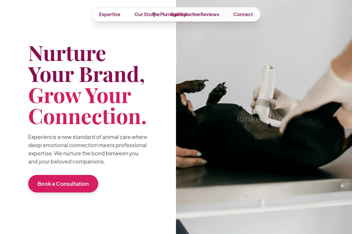Vibrant Animal Care