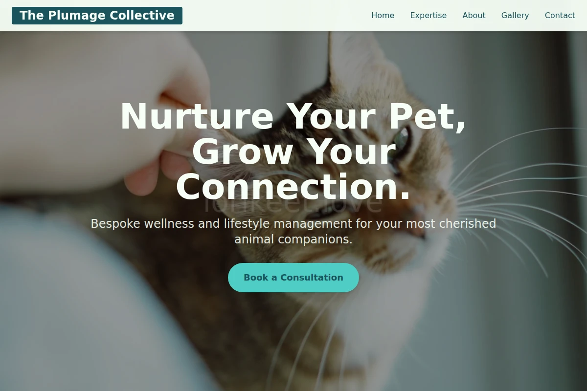 Colorful Animal Care