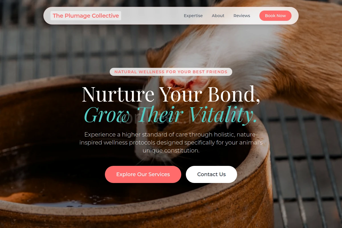 Natural Animal Care