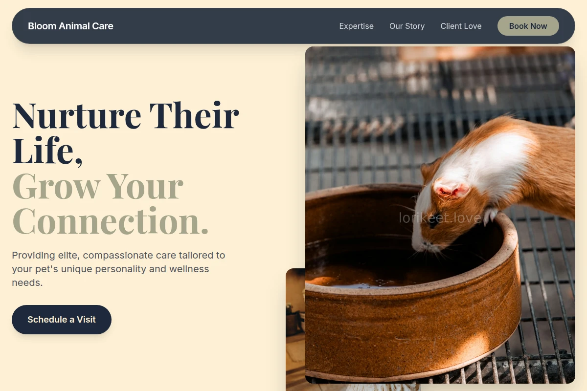 Bloom Animal Care