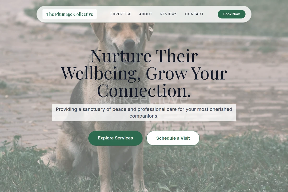 Nurturing Animal Care