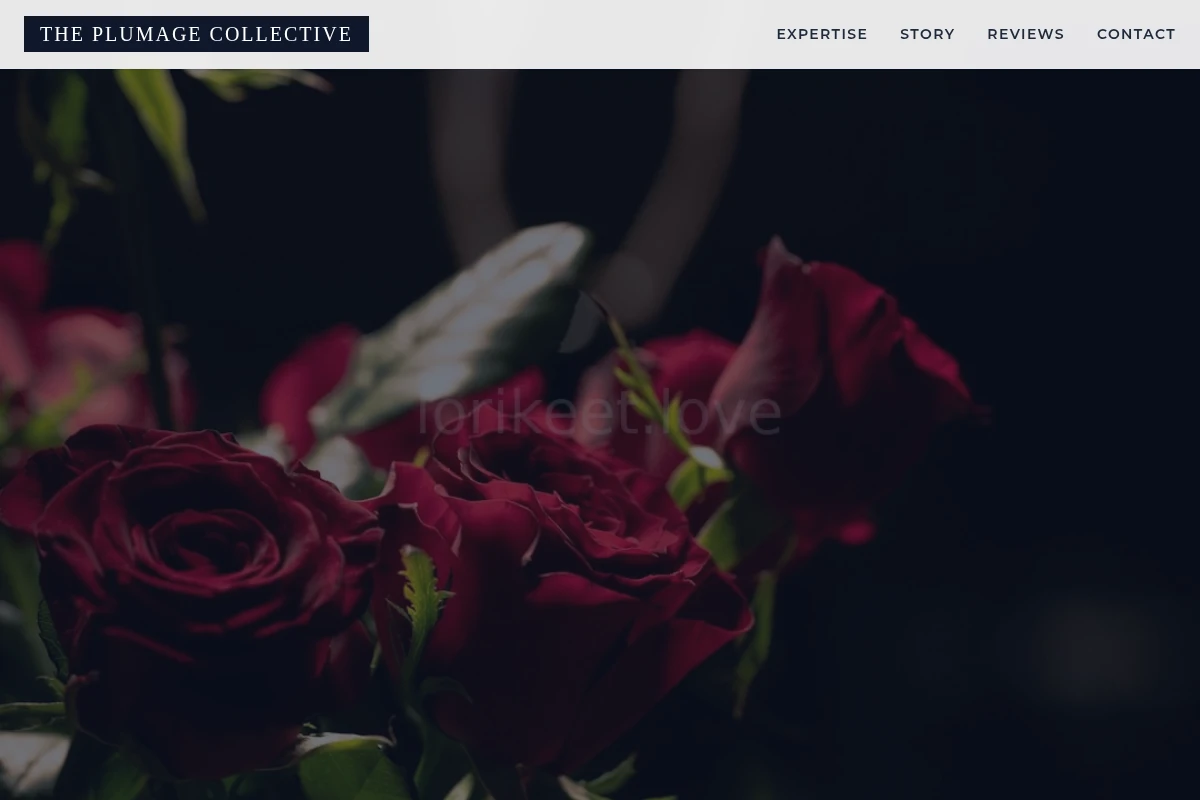Special Floristry